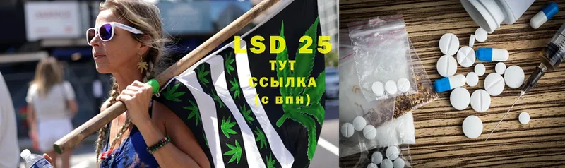 LSD-25 экстази ecstasy  blacksprut ссылки  Волхов  сколько стоит 